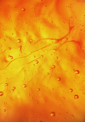 AIRLICIUM